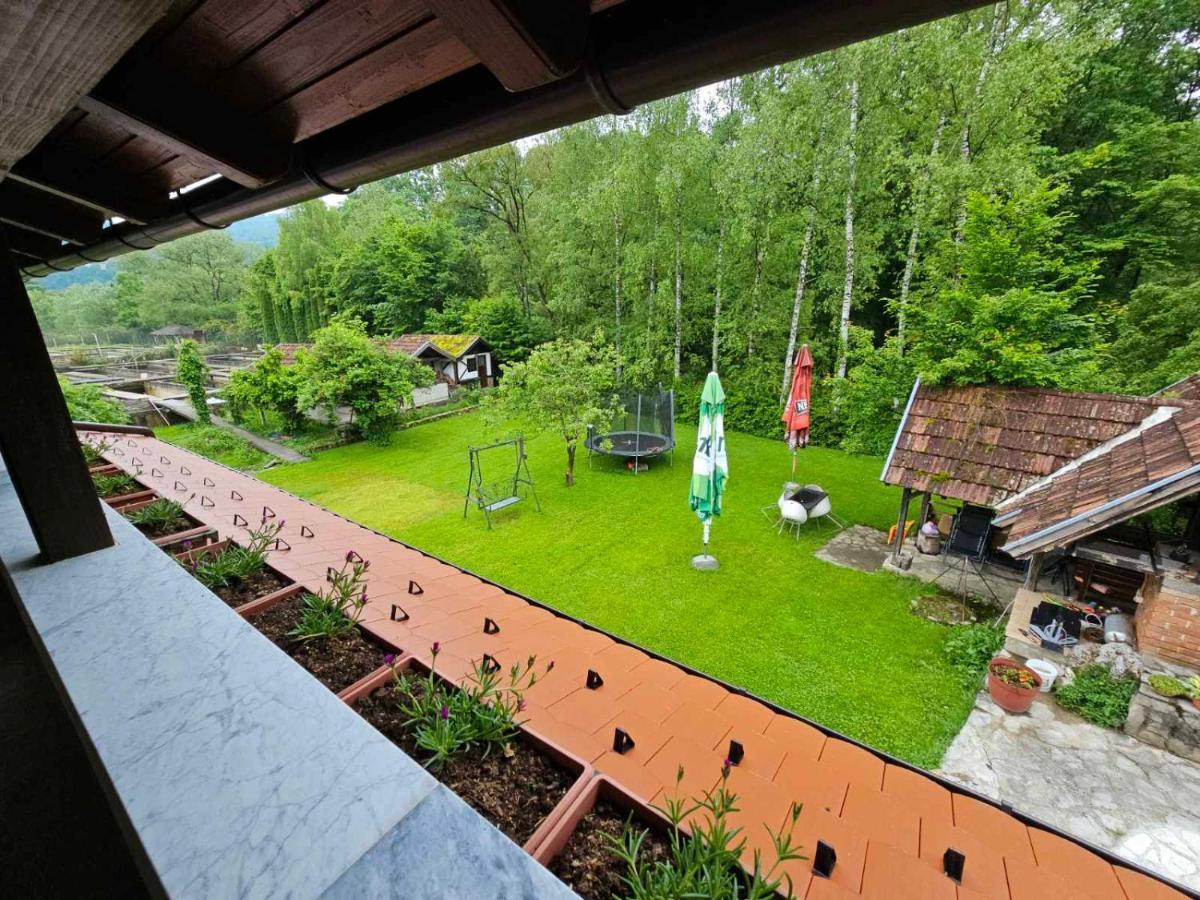 Apartment Slapovi *